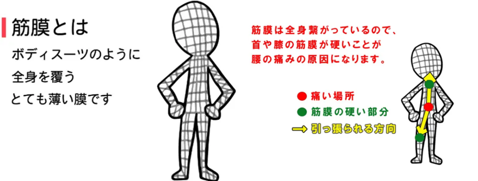 青山筋膜整体の筋膜リリース